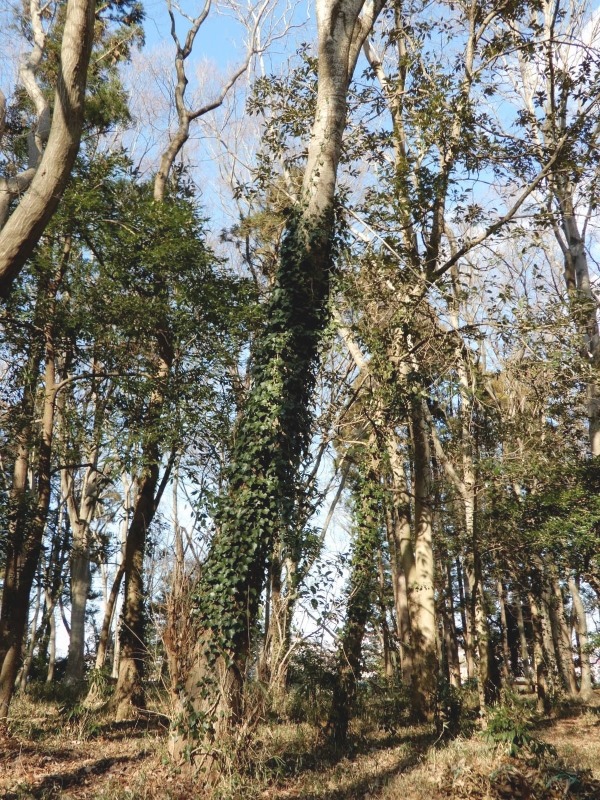 e0025300_17493168.jpg