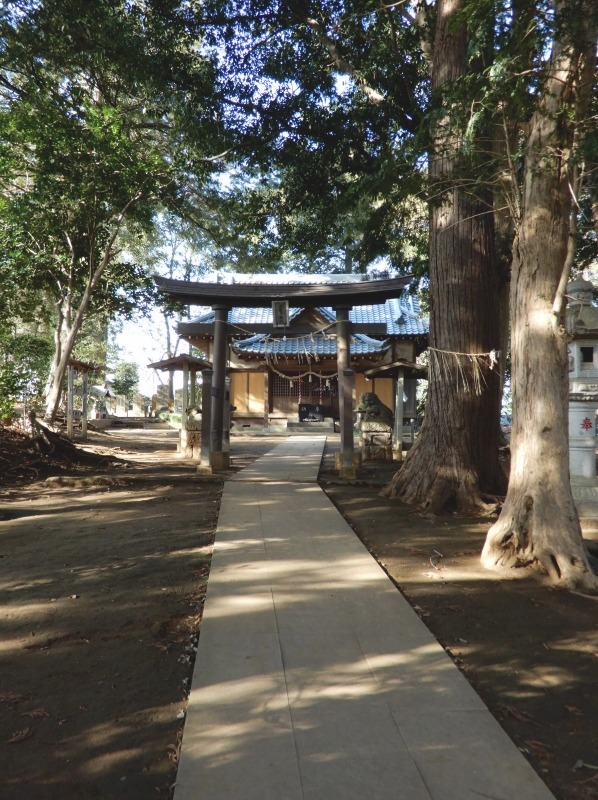 e0025300_17521534.jpg