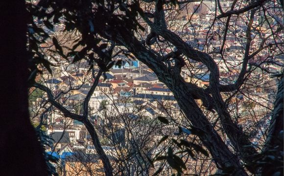 e0296801_8572194.jpg