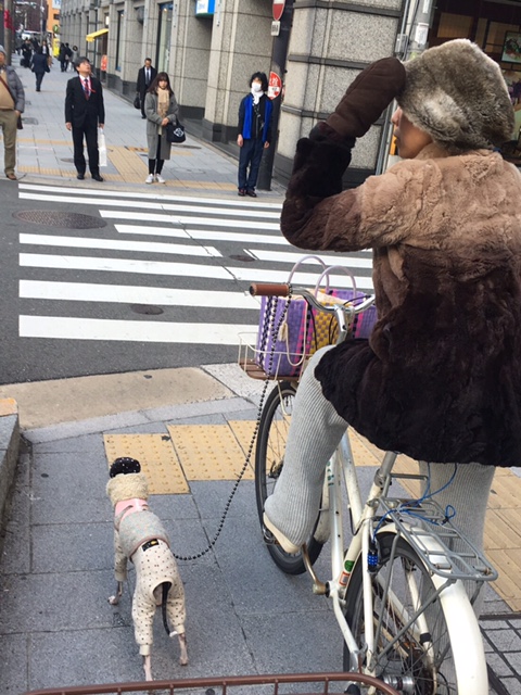 a0050302_3273329.jpg