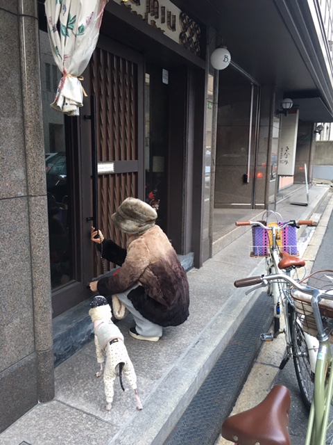 a0050302_3283931.jpg