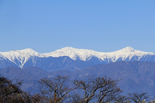 a0158702_1464995.jpg