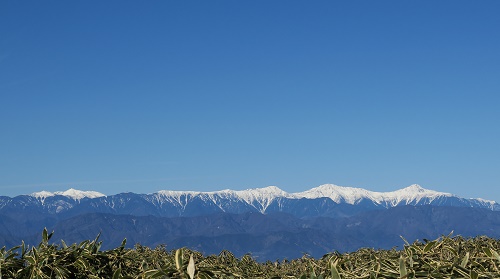 a0158702_1474623.jpg
