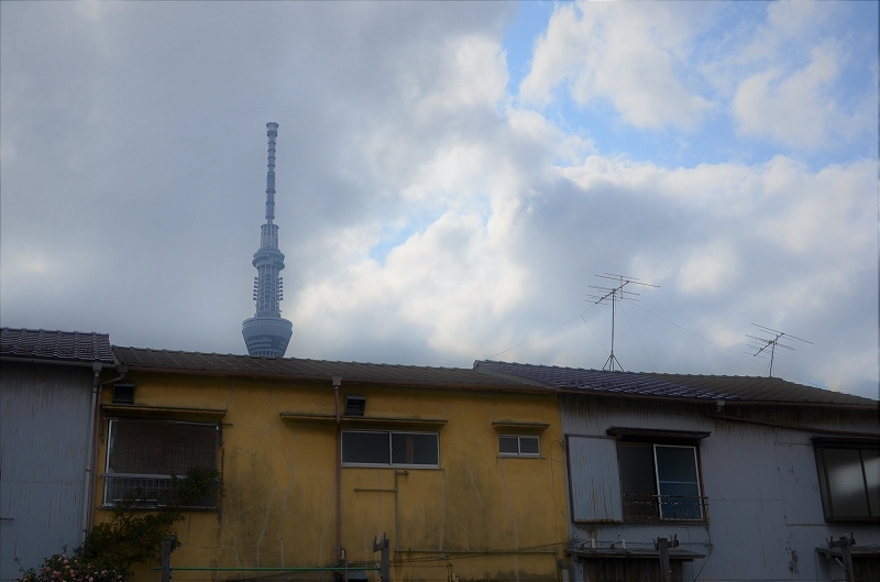 a0169902_00224665.jpg