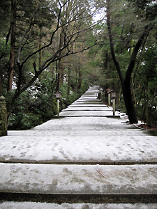 a0177205_2035481.jpg