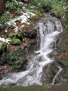 a0177205_2038059.jpg