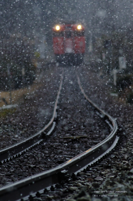 降り始めた雪は_d0309612_23472945.jpg