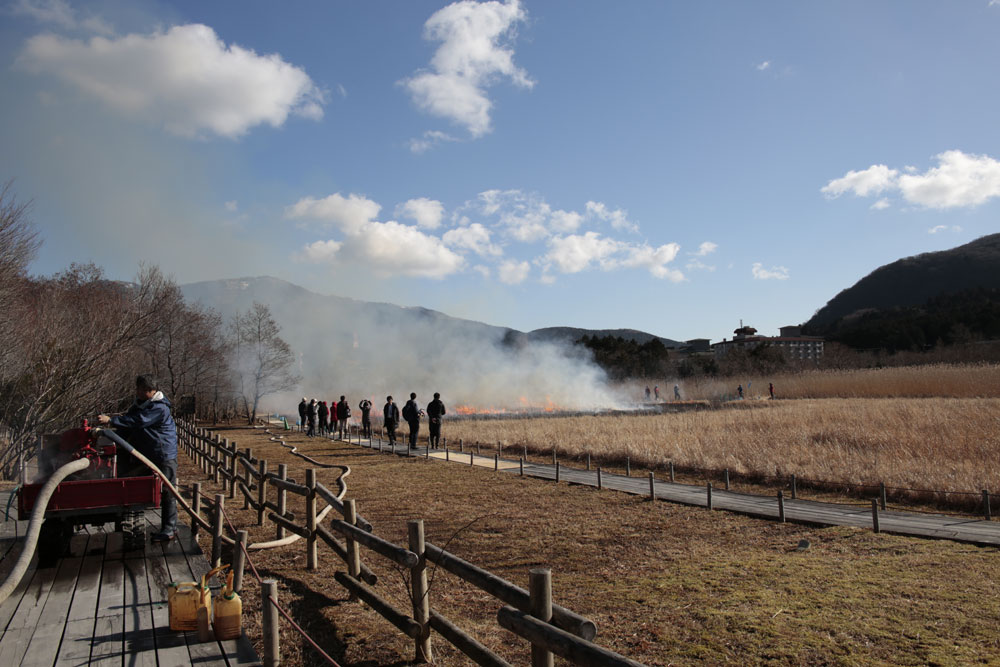 湿生花園 復元区火入れ2 ～流れ付近～_d0011713_11294465.jpg