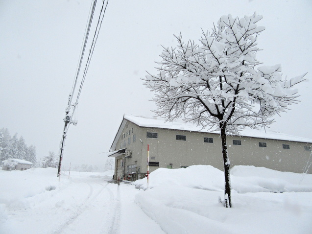 やっぱり雪国_f0067514_15451357.jpg