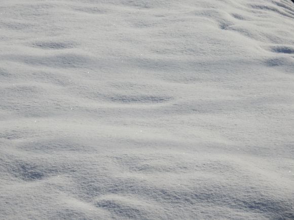 来た来た豪雪_c0025115_21114367.jpg