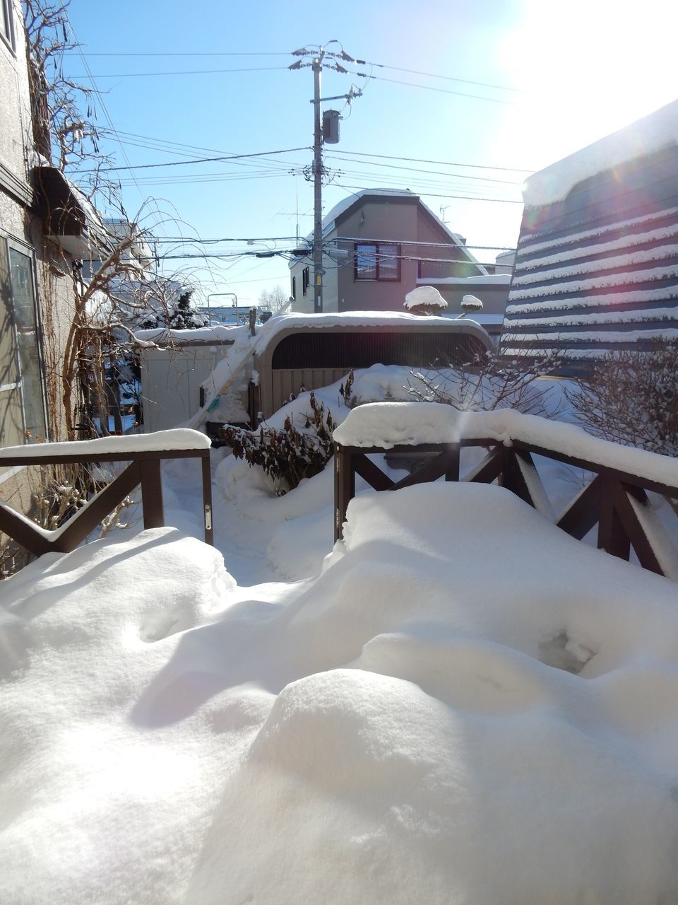 来た来た豪雪_c0025115_21114829.jpg