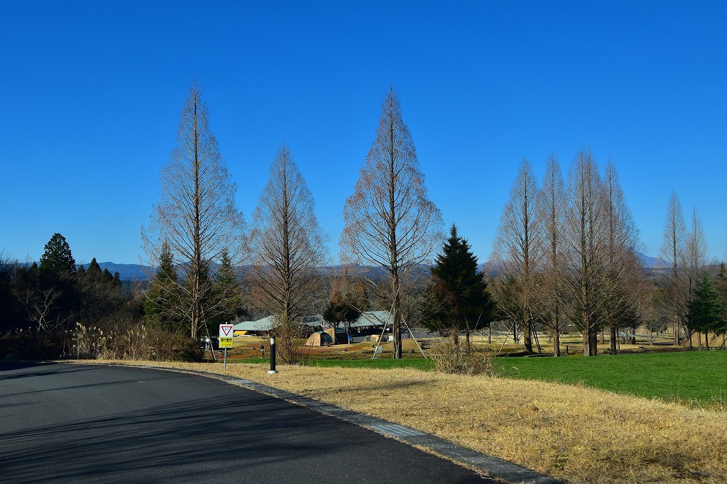 f0174419_21500628.jpg