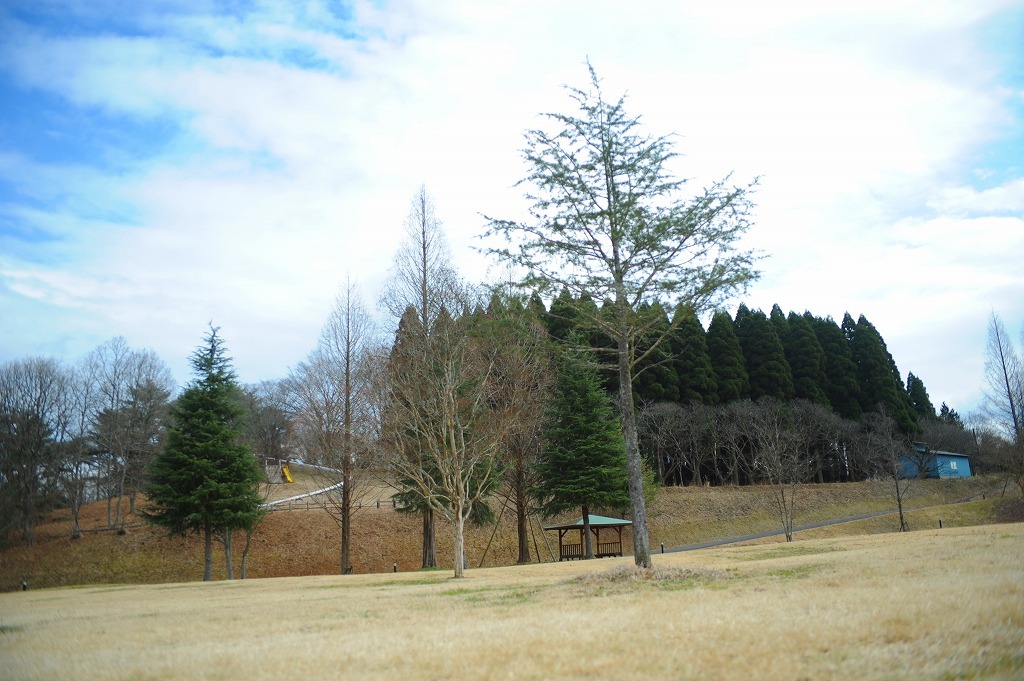f0174419_21515929.jpg