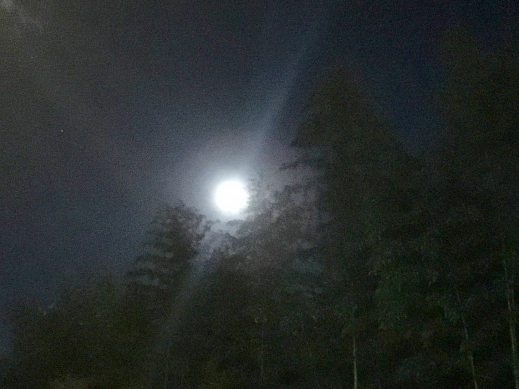 b0147922_16400346.jpg