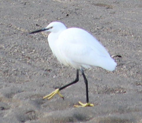 c0280322_11103546.jpg