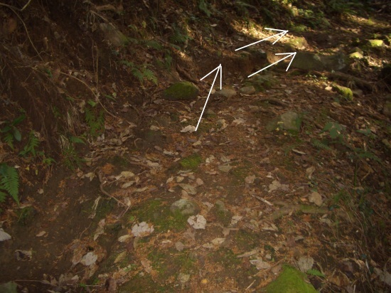 b0222530_17425105.jpg
