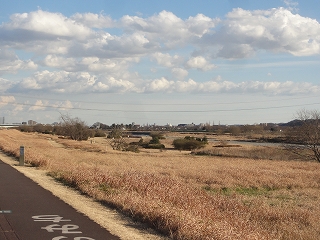 c0147935_19471640.jpg