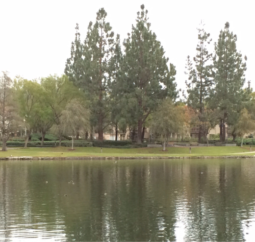 d0114237_11015635.jpg
