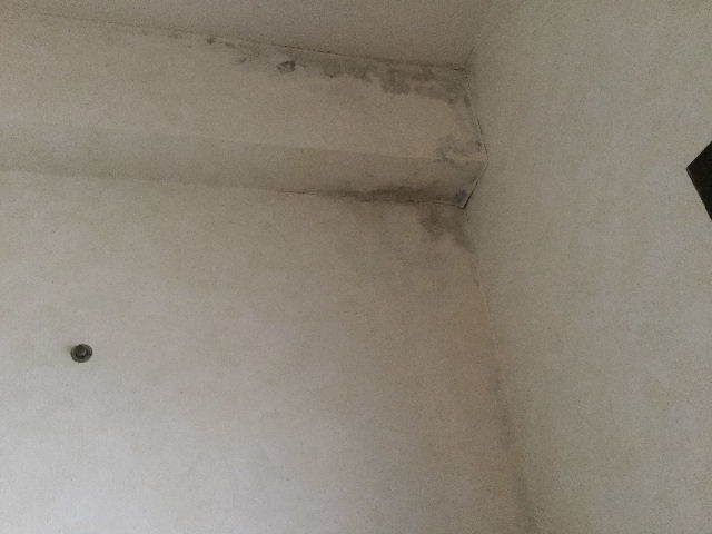 f0031037_21352261.jpg