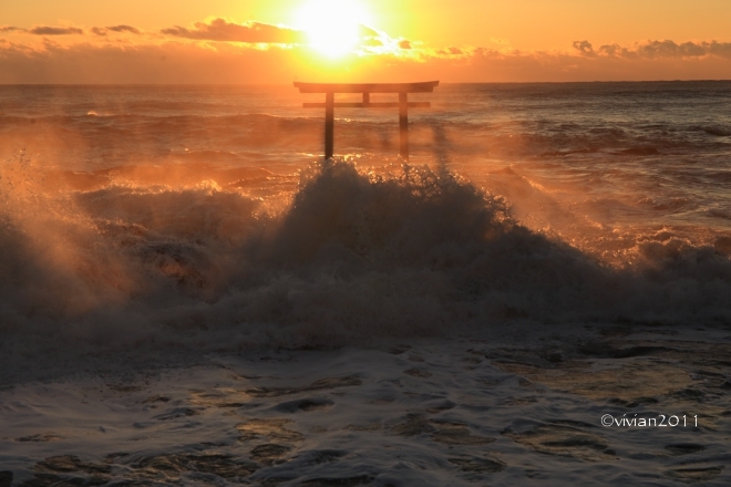 1月の写真クラブの撮影会 ~大洗、磯前神社の神磯の鳥居~_e0227942_15045198.jpg