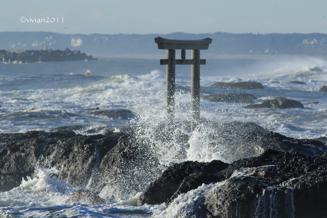 1月の写真クラブの撮影会 ~大洗、磯前神社の神磯の鳥居~_e0227942_15112044.jpg