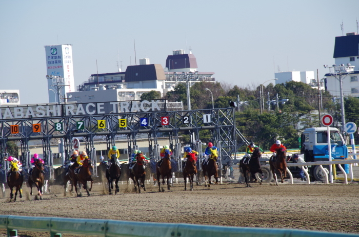 クイーンオブスカイ 7戦目＠船橋競馬 4R 2017.1.13_b0368243_15552119.jpg