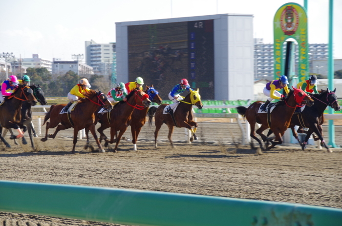 クイーンオブスカイ 7戦目＠船橋競馬 4R 2017.1.13_b0368243_15555047.jpg