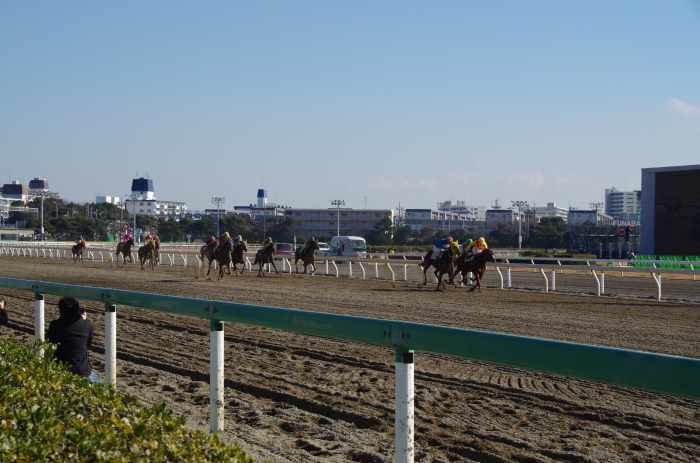 クイーンオブスカイ 7戦目＠船橋競馬 4R 2017.1.13_b0368243_15564058.jpg