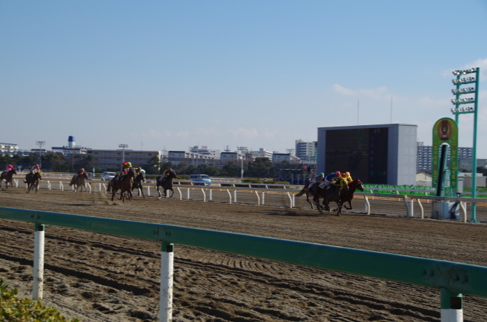 クイーンオブスカイ 7戦目＠船橋競馬 4R 2017.1.13_b0368243_15565078.jpg