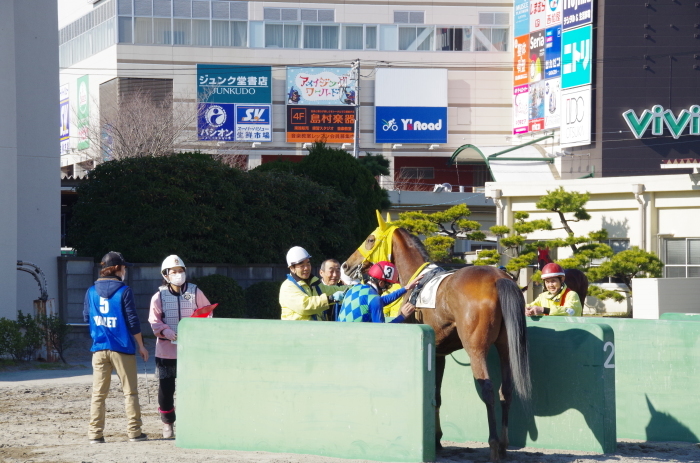 クイーンオブスカイ 7戦目＠船橋競馬 4R 2017.1.13_b0368243_15580706.jpg