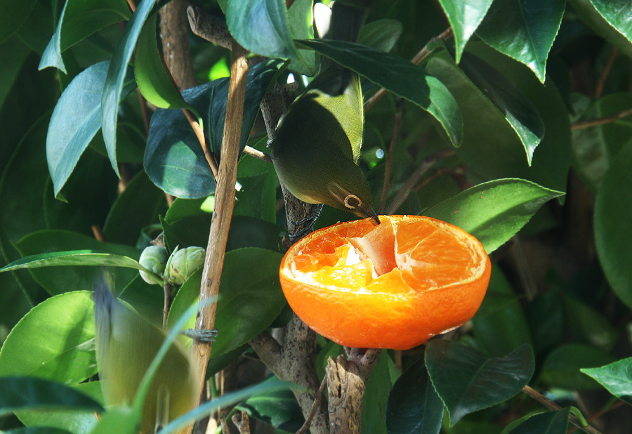 d0322448_12032687.jpg