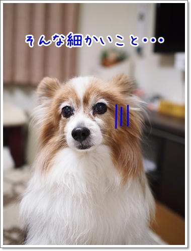 d0013149_00293695.jpg