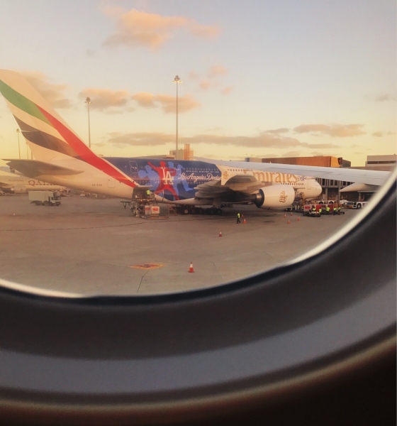 f0304452_10364630.jpg