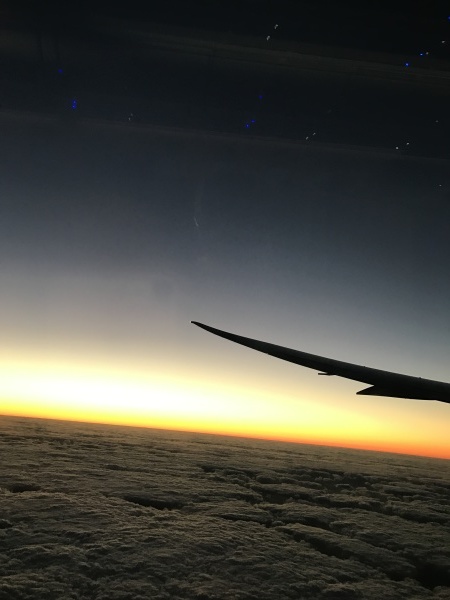 f0304452_10450243.jpg