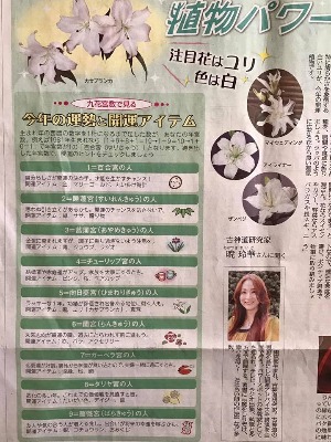 日本農業新聞正月号と連載_d0082655_3135068.jpg