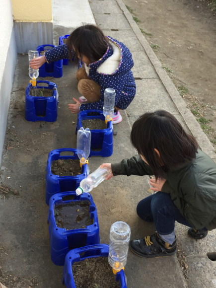 1年生 朝の様子_b0211757_08151266.jpg