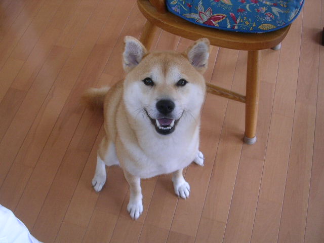 ’17,1,13(金)寒い時は美味しい食事が一番!_f0060461_1154452.jpg