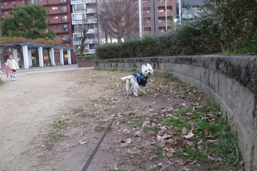 振り返る、何度も。_b0107163_01142670.jpg