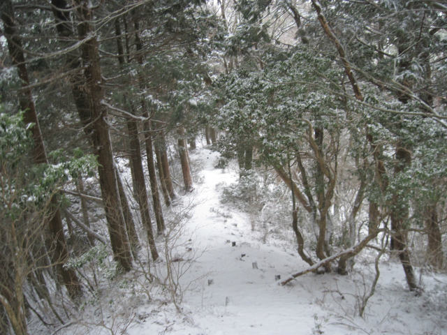 2017.1.13 柴小屋山_c0219866_1341192.jpg