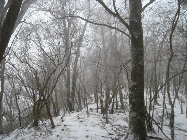 c0219866_1345617.jpg