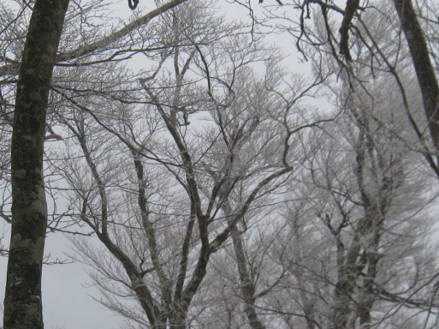 c0219866_1352322.jpg
