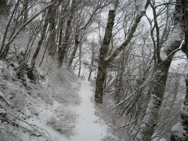 2017.1.13 柴小屋山_c0219866_1362235.jpg