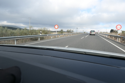 d0193569_8575691.jpg