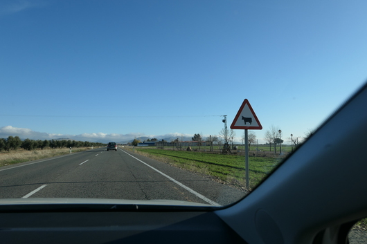 d0193569_945245.jpg