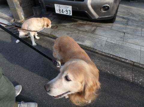 今年最初の小川動物病院 with コヴァンス _f0052277_00461070.jpg