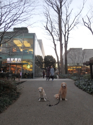 今年最初の小川動物病院 with コヴァンス _f0052277_01082313.jpg