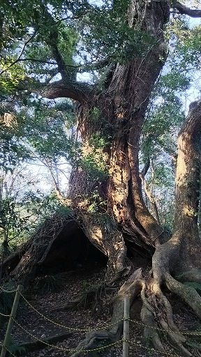 e0020682_2159524.jpg