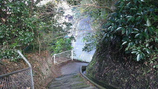 e0020682_225132.jpg