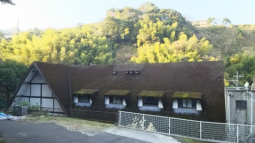 e0020682_228374.jpg