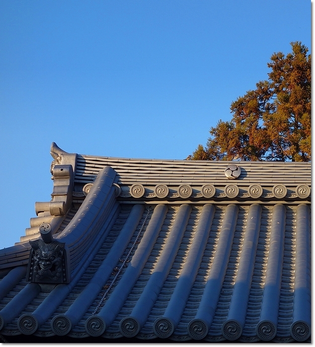 ◆続・初詣風景と小鳥と龍の手水場(〃・ω・)_e0357082_21305874.jpg